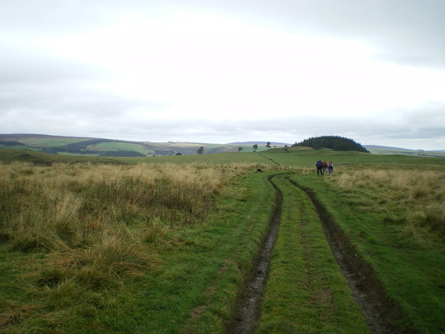 Track through fields